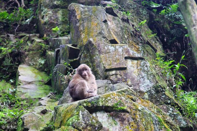 峨眉山旅游路线推荐