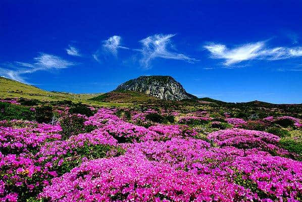 夏天来了，去济州岛逛逛吧~