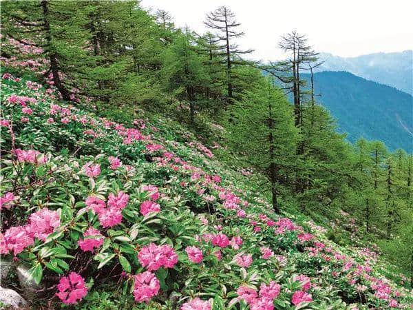 2019，一定要去太白山