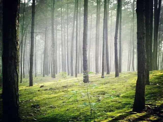 醉在大千山水烟雨间，隐匿在内江的世外仙境你都知道吗？