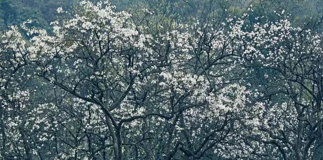 醉在大千山水烟雨间，隐匿在内江的世外仙境你都知道吗？