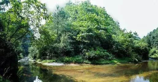 醉在大千山水烟雨间，隐匿在内江的世外仙境你都知道吗？