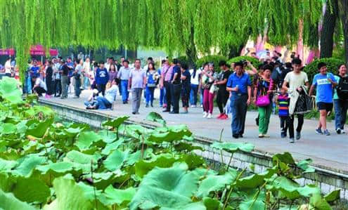 旅游团多是济南半日游 外省游客更愿在泰山脚下过夜