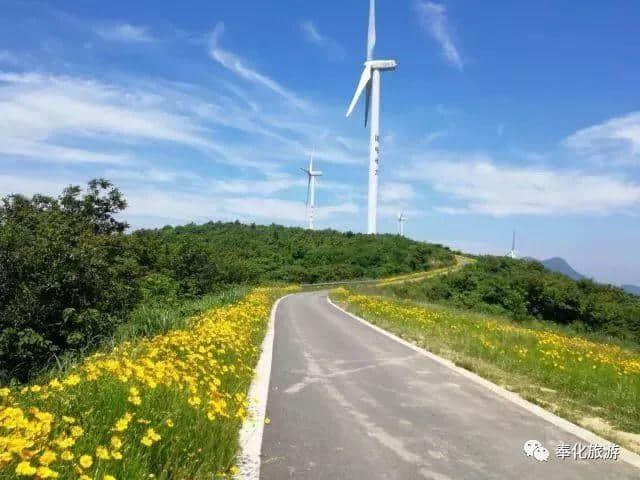 端午天气看过来（野趣时光旅行｜夏天就应该去浙东滨海撒野！）