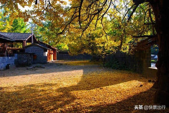 冬季旅游好去处，盘点国内冬季旅游胜地，你去过几个？