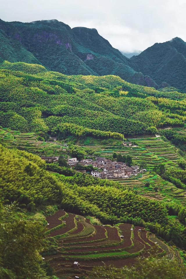 揭秘一处国内旅游不可错过之地—浙江遂昌