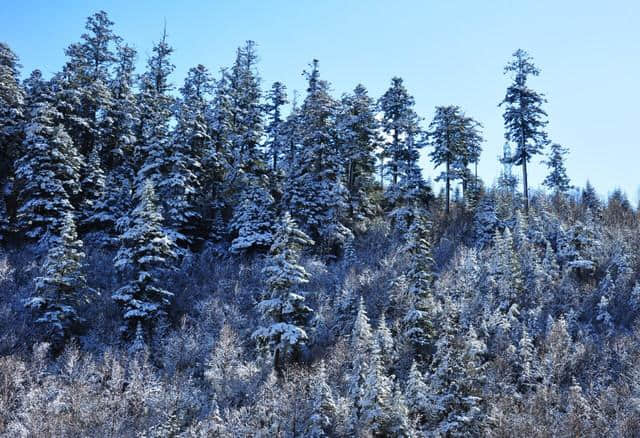 最美冬季雪景 九寨沟，当秋与冬雪共景