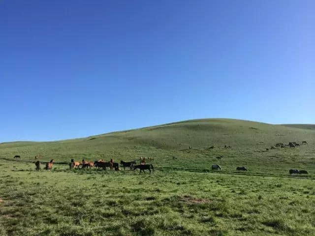 张掖山丹五大旅游景点美爆了，快来游玩！