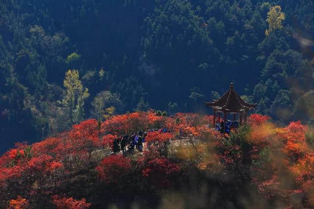 千种美景，万种风情！多彩章丘有您绝对不可错过的……