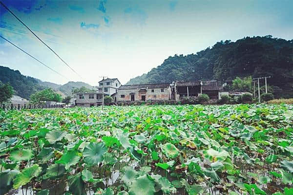 吉首市小溪村发展乡村旅游 助推脱贫攻坚