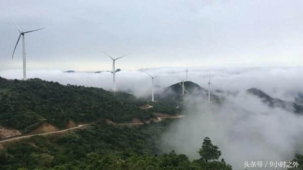 到惠州旅游不来盐洲岛，你就体验不到这些美！