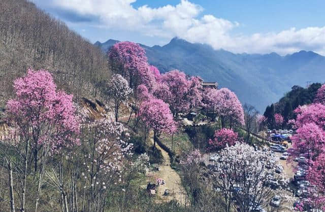 绵阳十大必玩景点