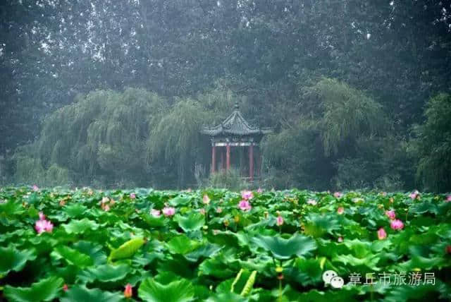 济南章丘各大景区放大招，文化旅游大餐让你嗨“双节”！