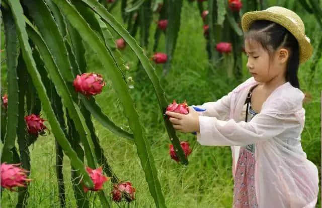 济南章丘各大景区放大招，文化旅游大餐让你嗨“双节”！