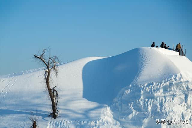 冬季旅游好去处，拥有80多年历史的瓦萨国际滑雪节落户长春净月潭