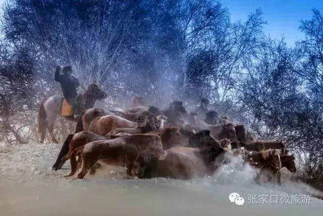 冬季到张家口除了滑雪，还能玩什么？