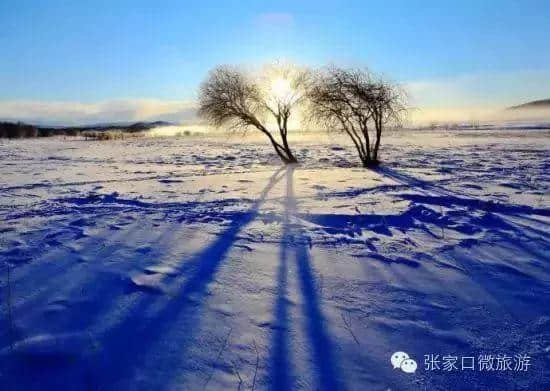 冬季到张家口除了滑雪，还能玩什么？