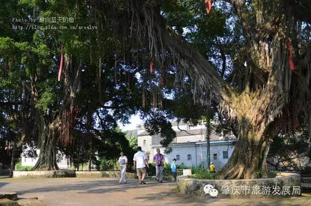 全民码上导游|5天行摄肇庆，大V为您做攻略