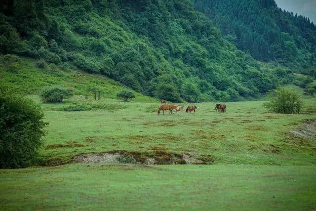 旅行记 | 聊聊端午出游好去处