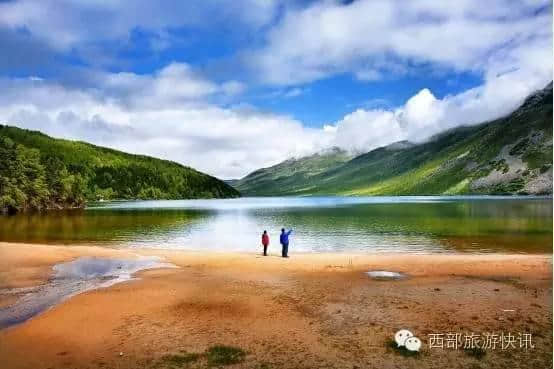 木格措的花海已成红海 景区出台多项优惠政策