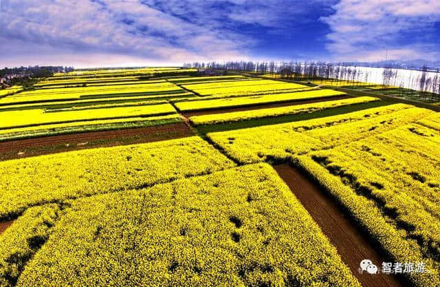 2017黄石及周边踏青赏花