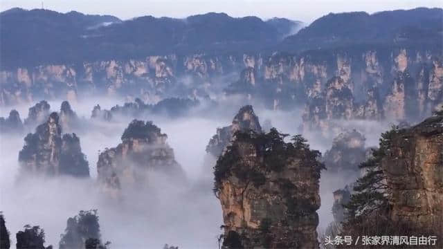 张家界二日游 三日游最佳旅游路线攻略