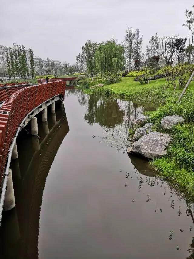 遂宁九莲洲湿地公园春光明媚，一组美图带你领略如画风景