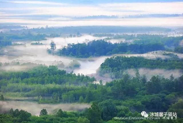 这个夏天，你去漠河找北吗？