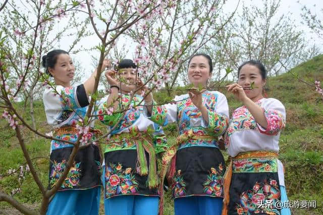 湘西州吉首市永芳桃花谷开园