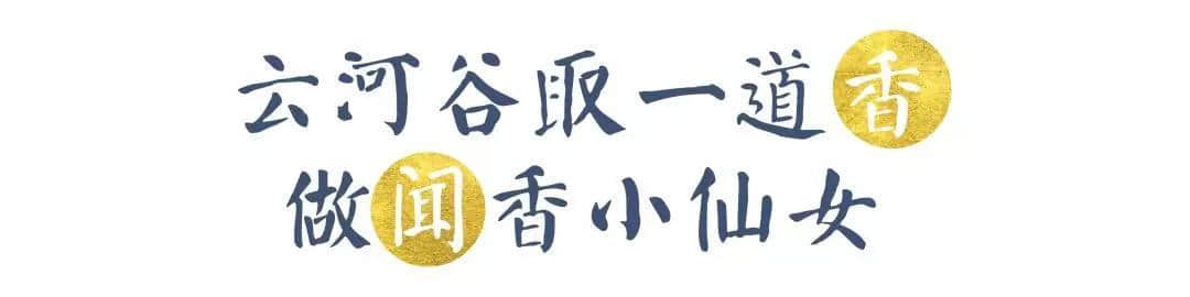 纸也能织成画？瓦片也能变艺术？许多人不知道的永春旅游新路线，端午小长假走起