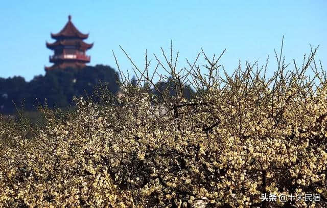 苏州西山岛，一年十二月的游玩攻略大盘点！