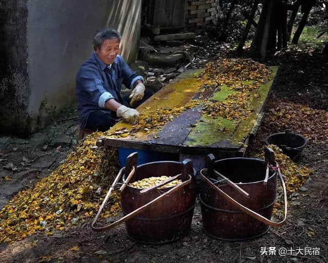 苏州西山岛，一年十二月的游玩攻略大盘点！