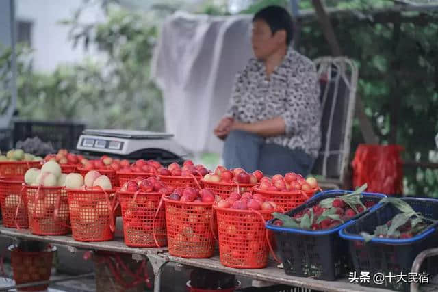 苏州西山岛，一年十二月的游玩攻略大盘点！