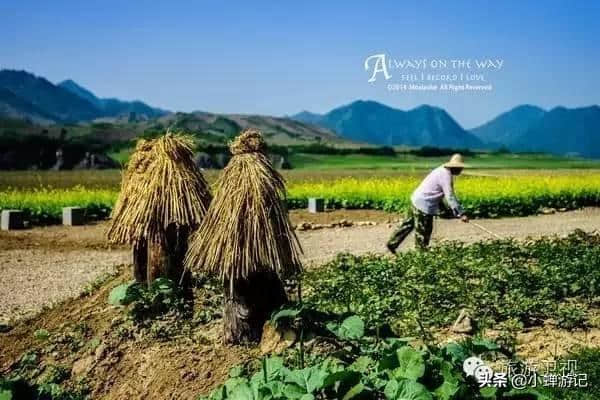 搞定毕业旅行！在对的时间去最美的地方，集安：看万亩油菜花海