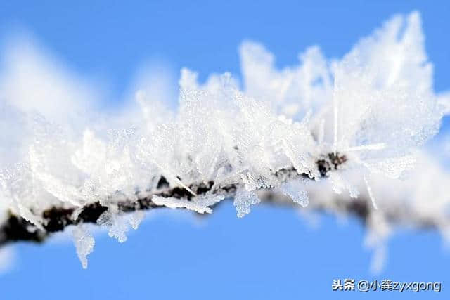 现在是张家界旅游看雪景的季节、有图有真相