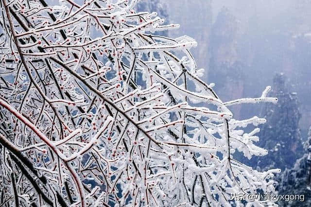 现在是张家界旅游看雪景的季节、有图有真相