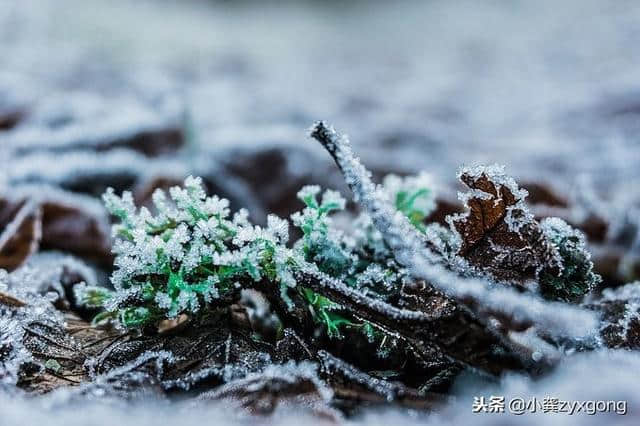 现在是张家界旅游看雪景的季节、有图有真相