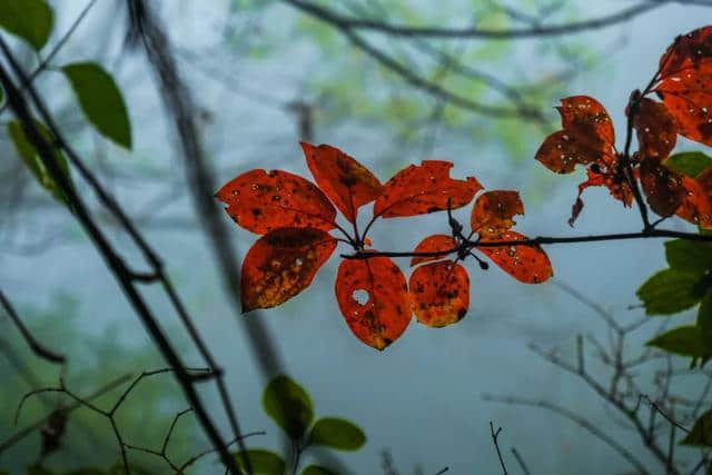 感恩教师节~吉安这些地方可凭证免票