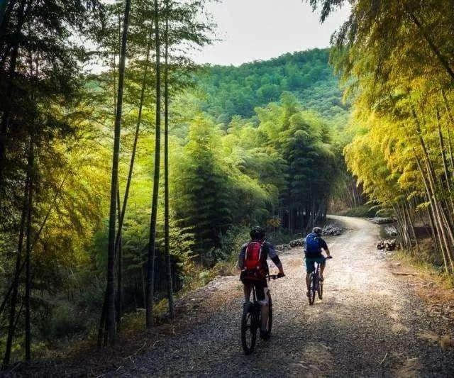 跟着综艺去旅游｜解锁莫干山另类玩法，一次看遍22km最美秋景