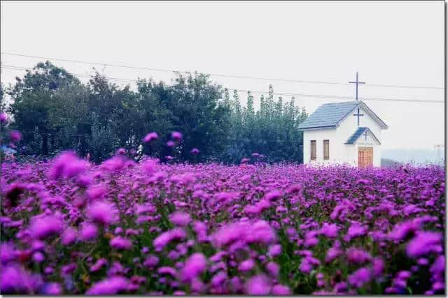 高考结束去旅行，济南章丘这么多景区都在等你啦！