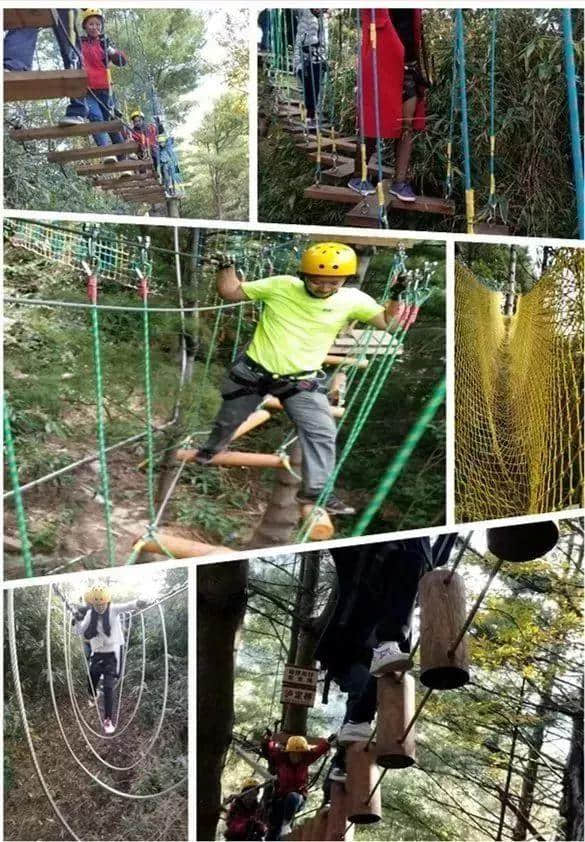 八台山野生土鸡免费抓，千盒鸡蛋随便拿！