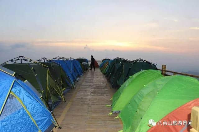 八台山野生土鸡免费抓，千盒鸡蛋随便拿！