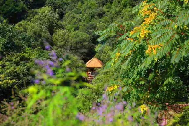 冀情山水（21）| 端午免费送票！太行山“天然氧吧”邀您纵享清凉~