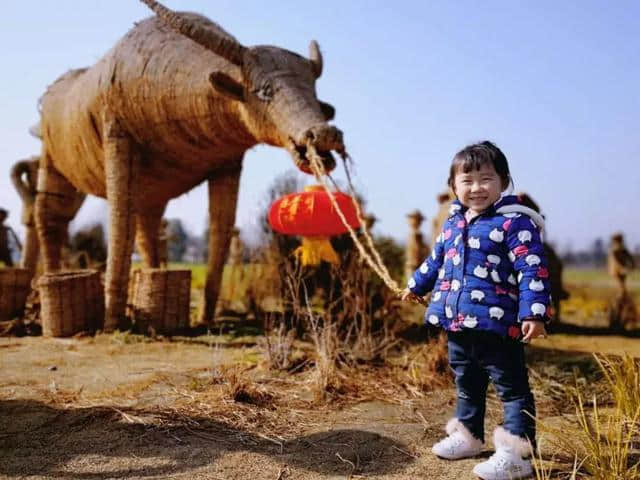 都江堰乡村旅游网红打卡地，这个春节不要错过~