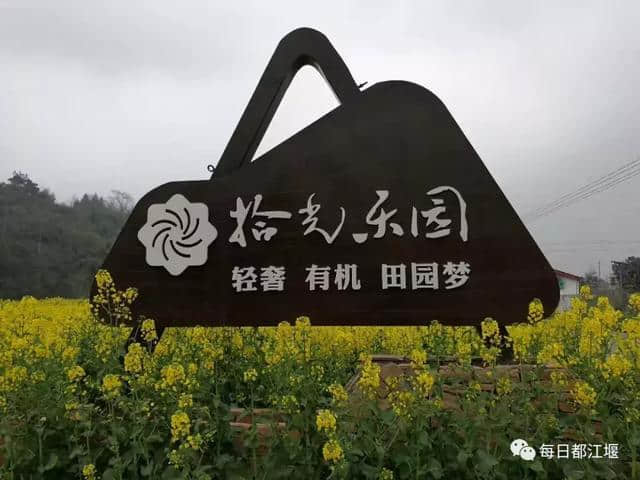 都江堰乡村旅游网红打卡地，这个春节不要错过~