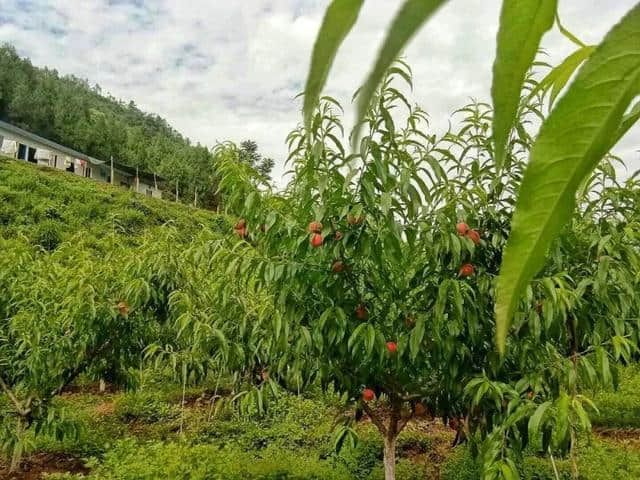 端午攻略 | 别去人挤人了！端午节最值得一试的3种玩法，一篇攻略带你粽享端午！