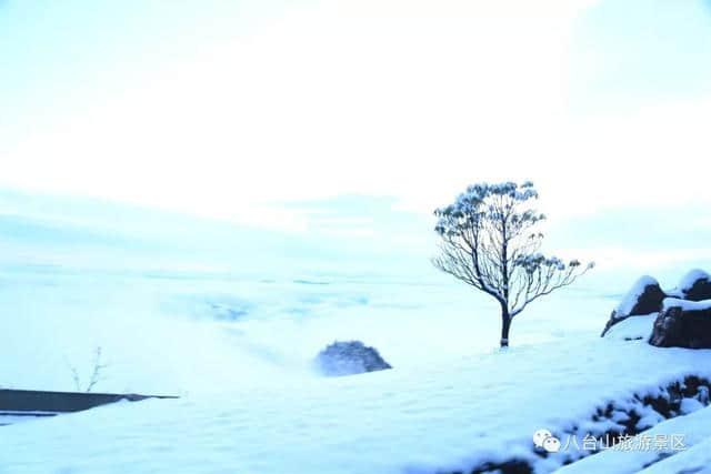 免费午餐就在八台山，八台山雪乡欢迎您！