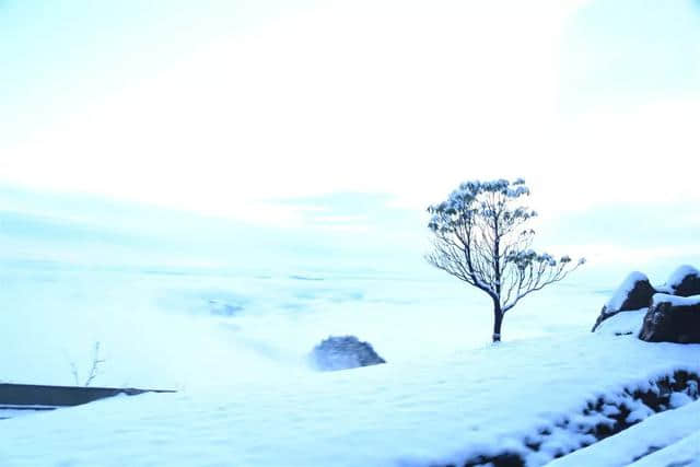 免费午餐就在八台山，八台山雪乡欢迎您！