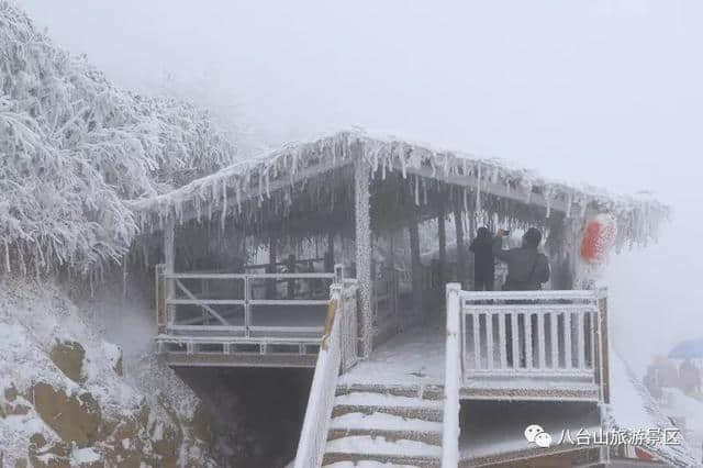 免费午餐就在八台山，八台山雪乡欢迎您！