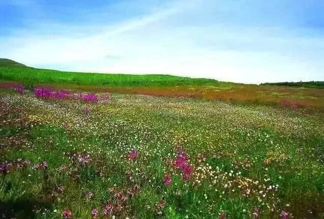 如果你没到过昭通大山包，请别对外讲你到过云南旅游！